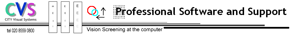 Professional Software and Support